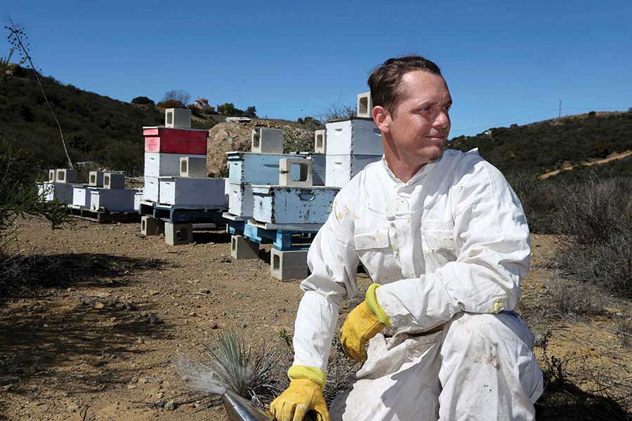 Kevin Bock beekeeping