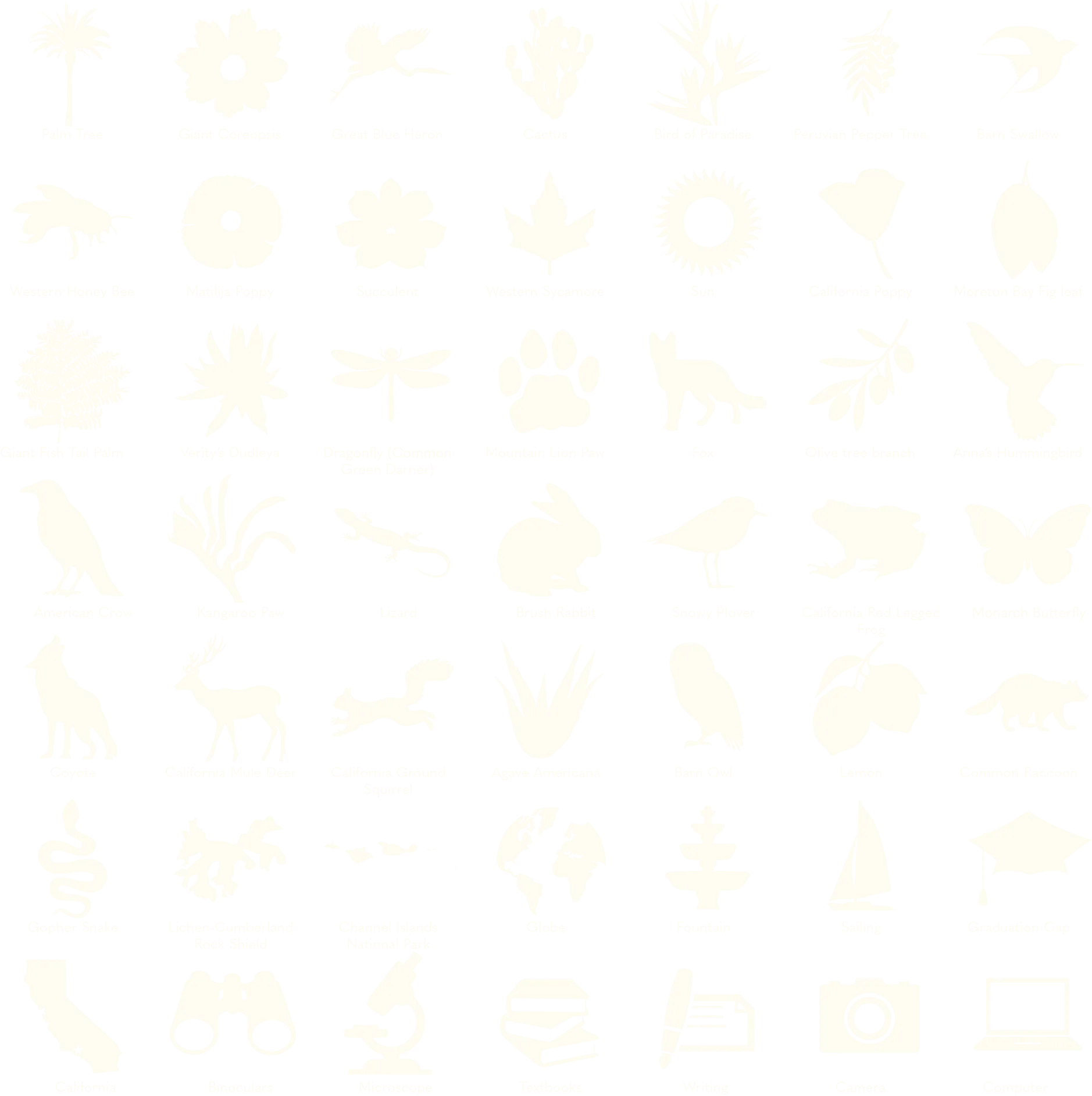 CSUCI icons