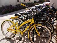 One of many bike racks 