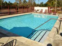 Pool & Spa 