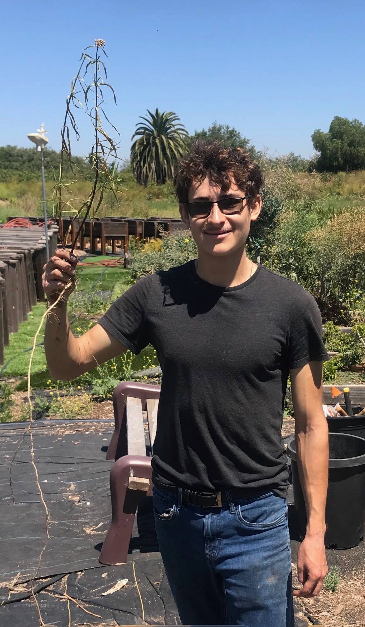 Ethan is standing tall with a black shirt and jeans, sunglasses, and holding a yellow flower. 